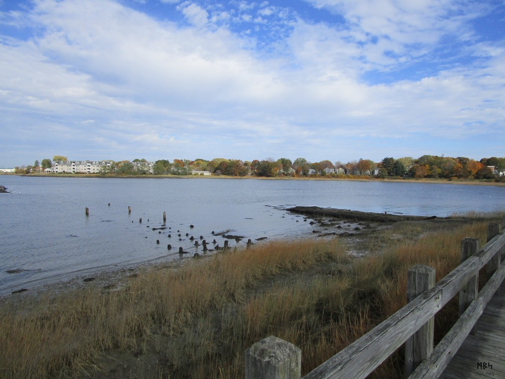 The little cove between Knightville (Mill Creek) and Ferry Village, in South Portland, Maine, as seen from the Mill Cove Boardwalk. Photo by Mike Smetzer ᛗᛒᛋ.