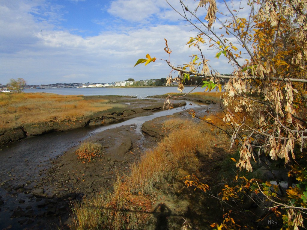 The mouth of Trout Brook in South Portland, Maine. Photo by Mike Smetzer ᛗᛒᛋ.