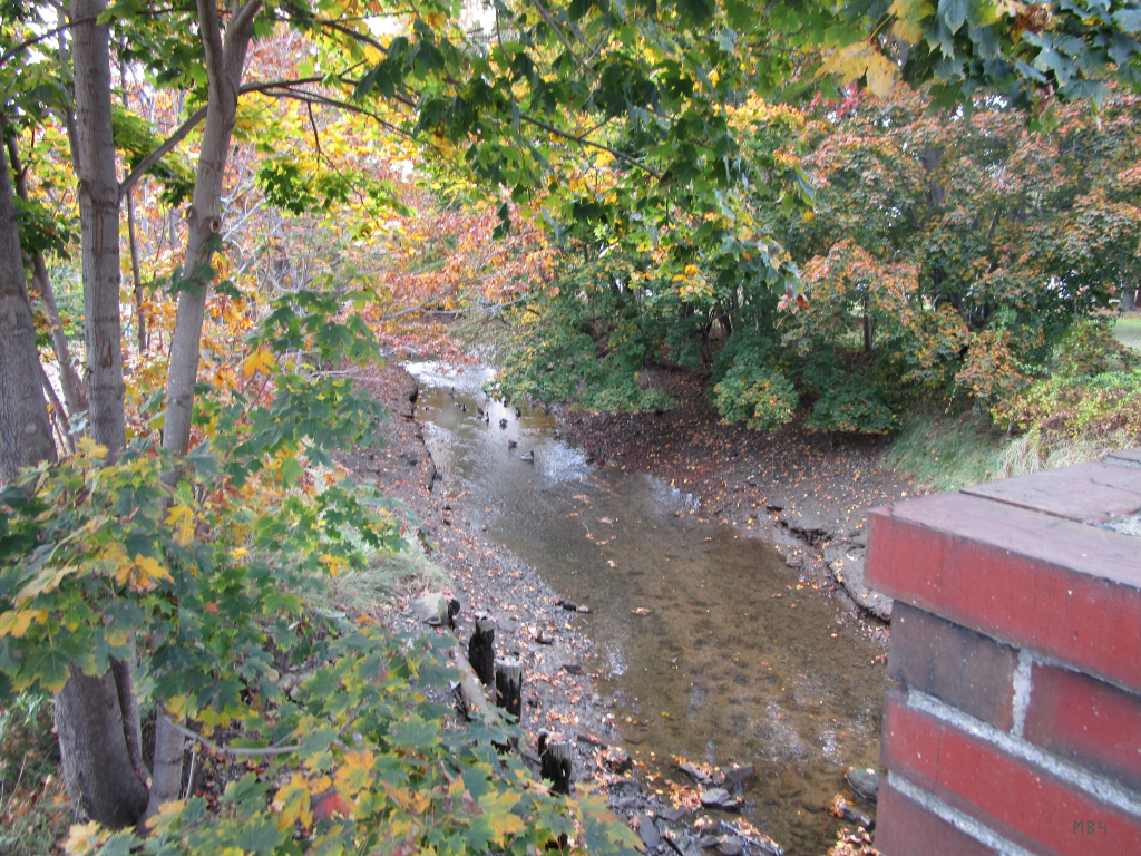 Looking up Trout Brook from its bridge at Cottage Road in South Portland, Maine.