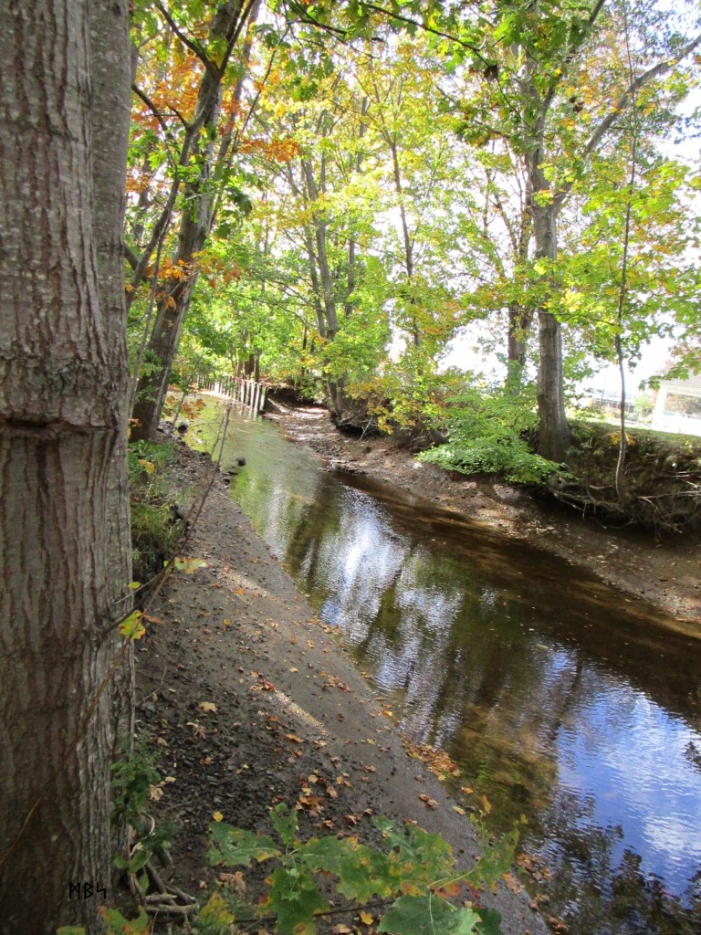 Looking up stream to where Trout Brook enters Mill Creek Park in South Portland, Maine. Photo by Mike Smetzer ᛗᛒᛋ.